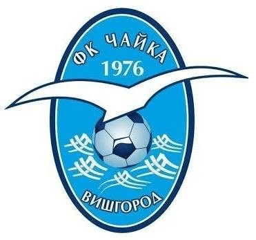 чайка-в-лого